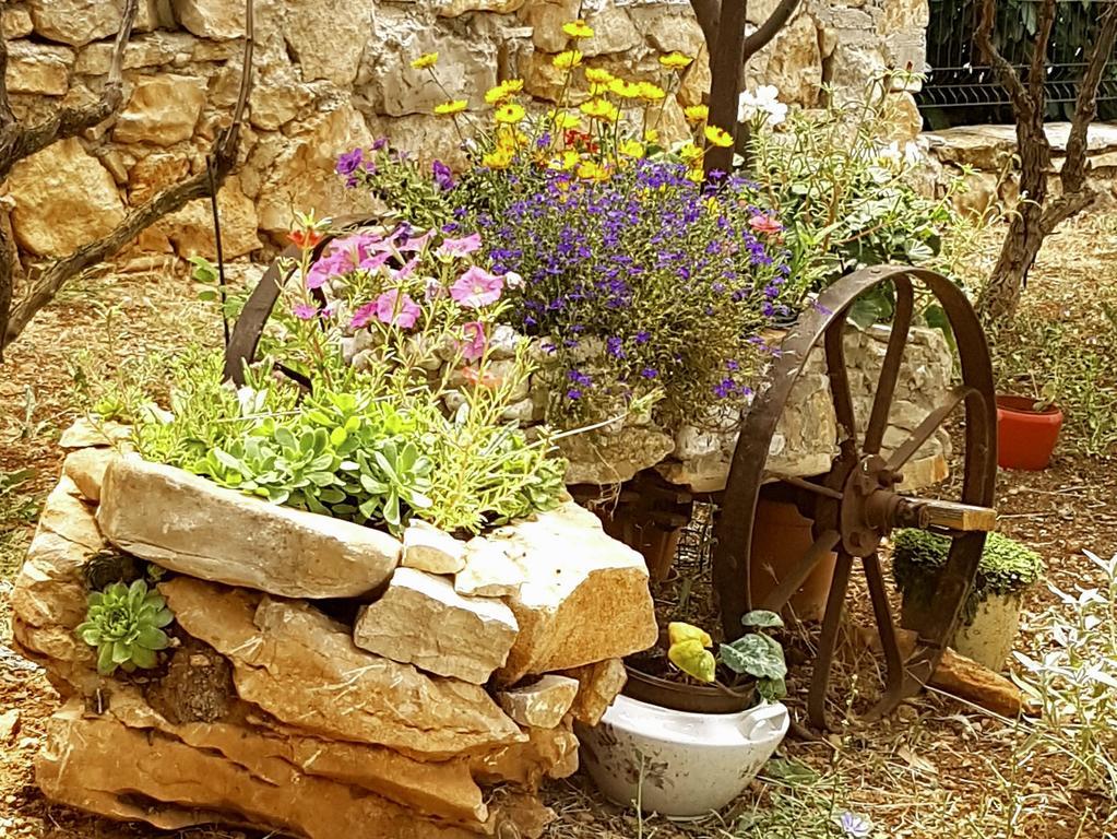 Apartments Villa Marija Gornji Karin Dış mekan fotoğraf