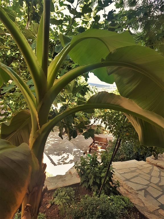 Apartments Villa Marija Gornji Karin Dış mekan fotoğraf