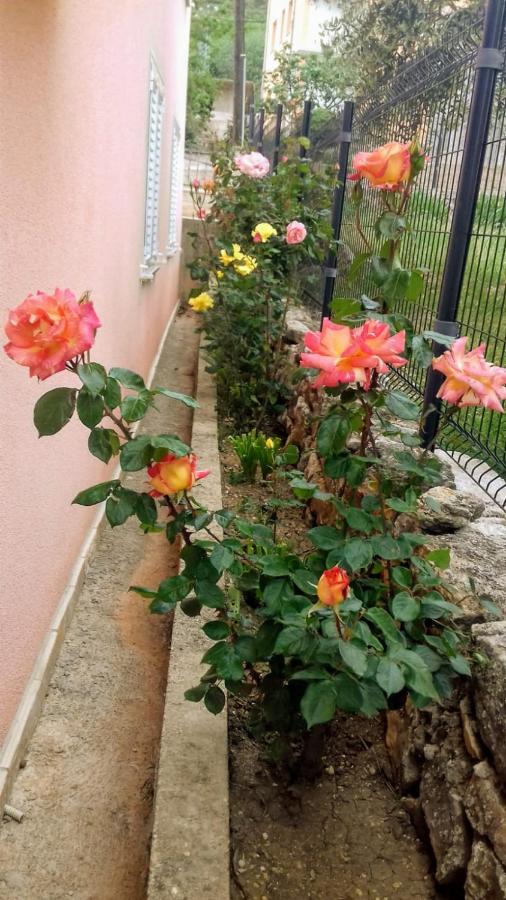 Apartments Villa Marija Gornji Karin Dış mekan fotoğraf
